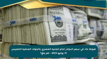 هبوط حاد في سعر الدولار أمام الجنيه المصري بالبنوك المحلية الخميس 31 يوليو 2025 – كم بلغ؟